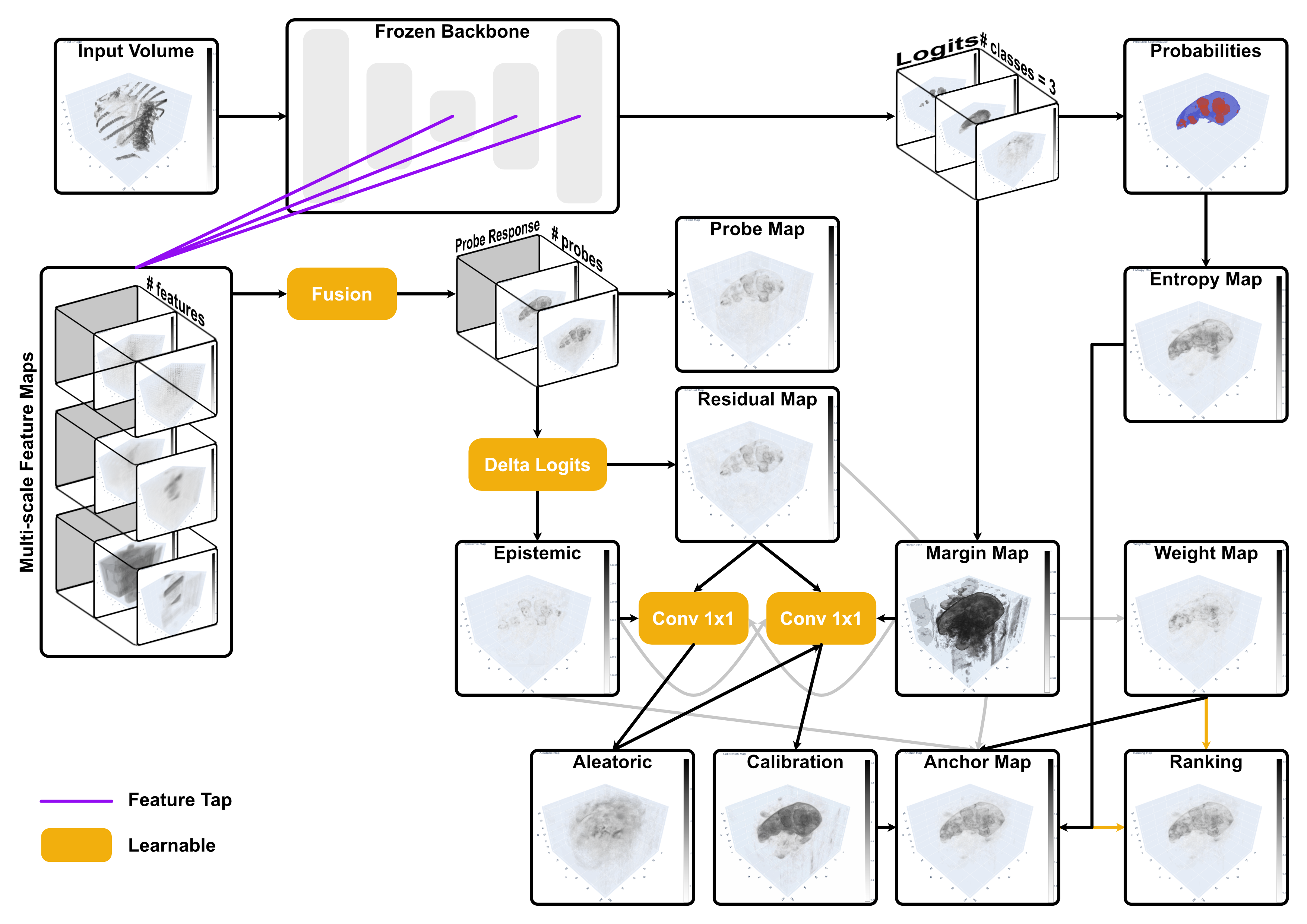 SegWithU architecture diagram. Frozen backbone, multi-scale feature taps, fusion, probe response, delta-logits, residual, epistemic and aleatoric maps, and downstream calibration, anchor, ranking, weight, margin, and entropy maps.